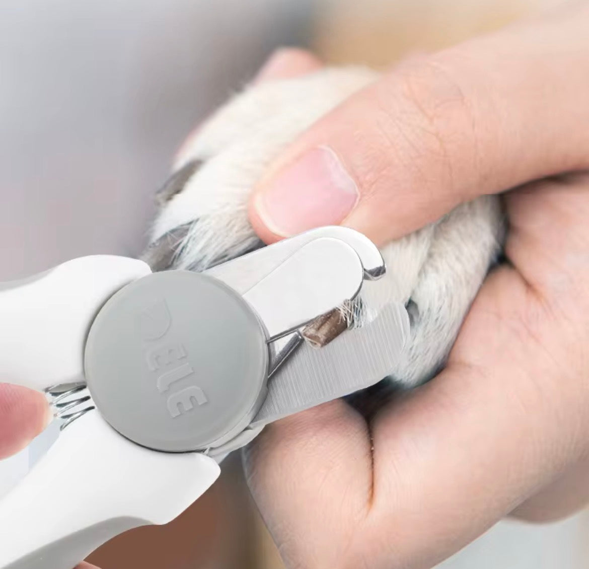 Professional Pet Nail Clipper with Built-In Nail File and Safety Lock